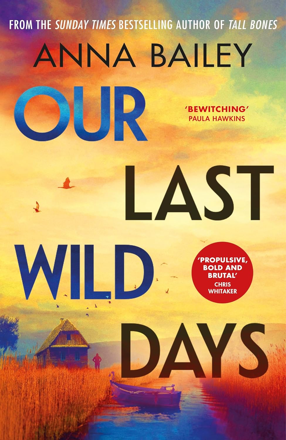Cover of Our Last Wild Days