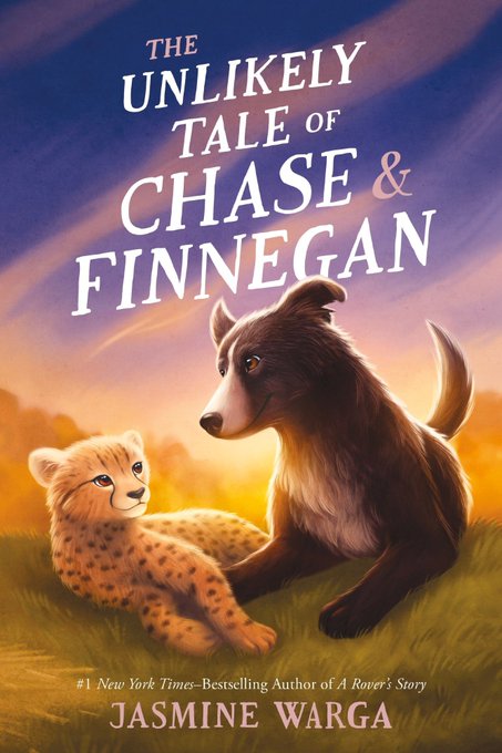 The Unlikely Tale of Chase and Finnegan book cover
