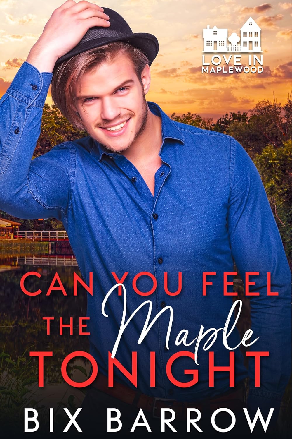 Love in Maplewood book cover 3