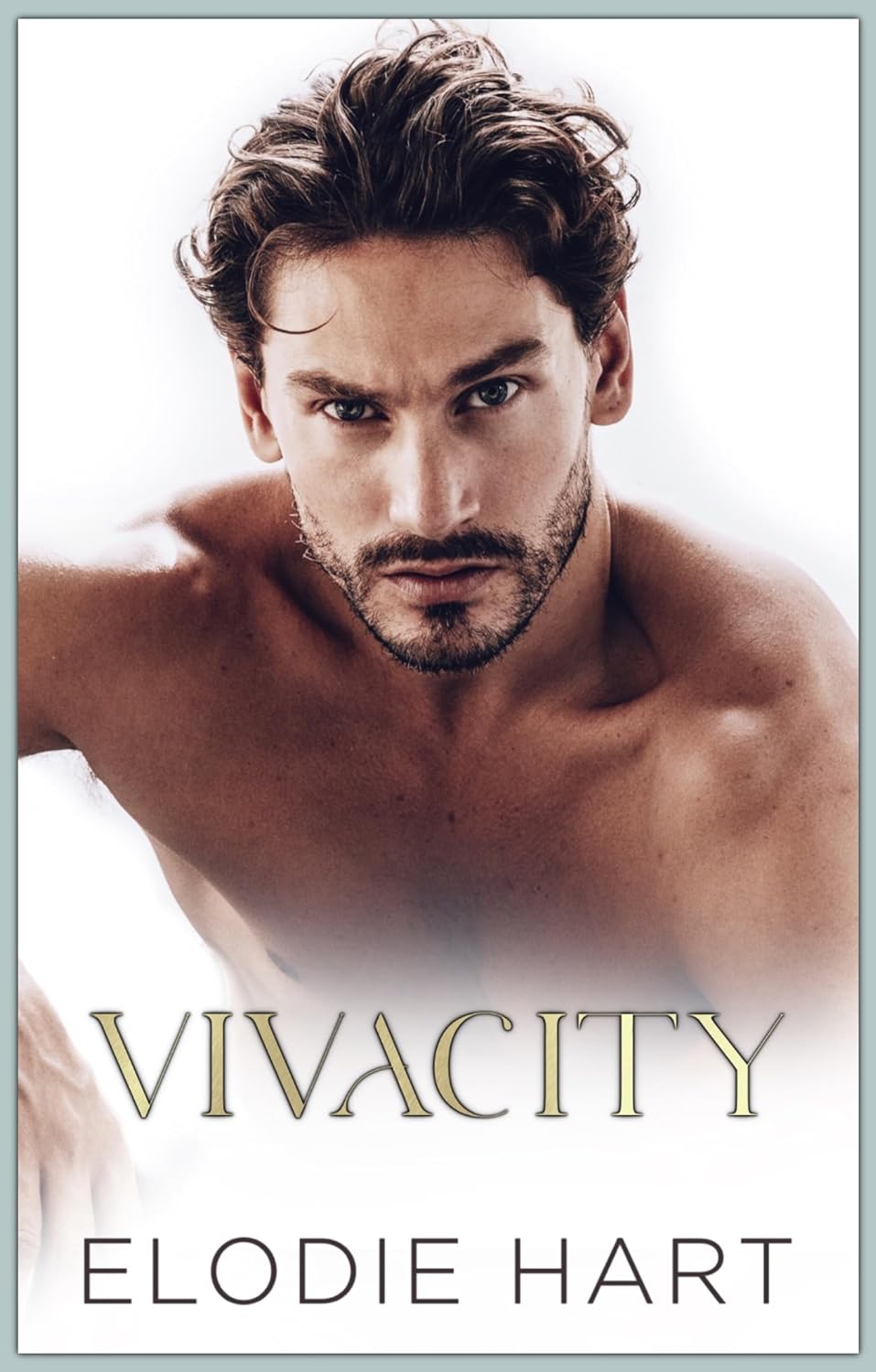 Vivacity book cover