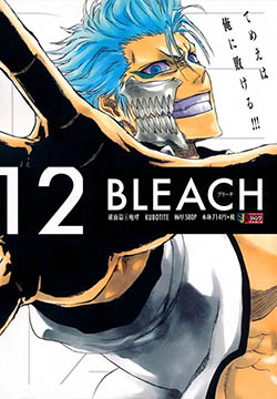 Bleach Remix, Vol. 12 book cover