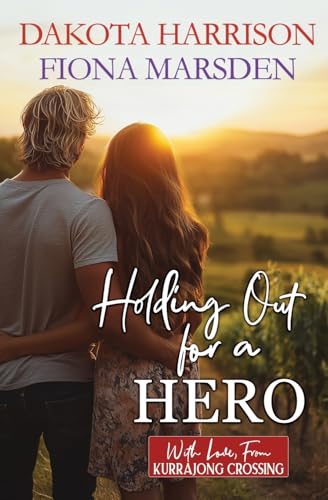 Holding Out For a Hero book cover