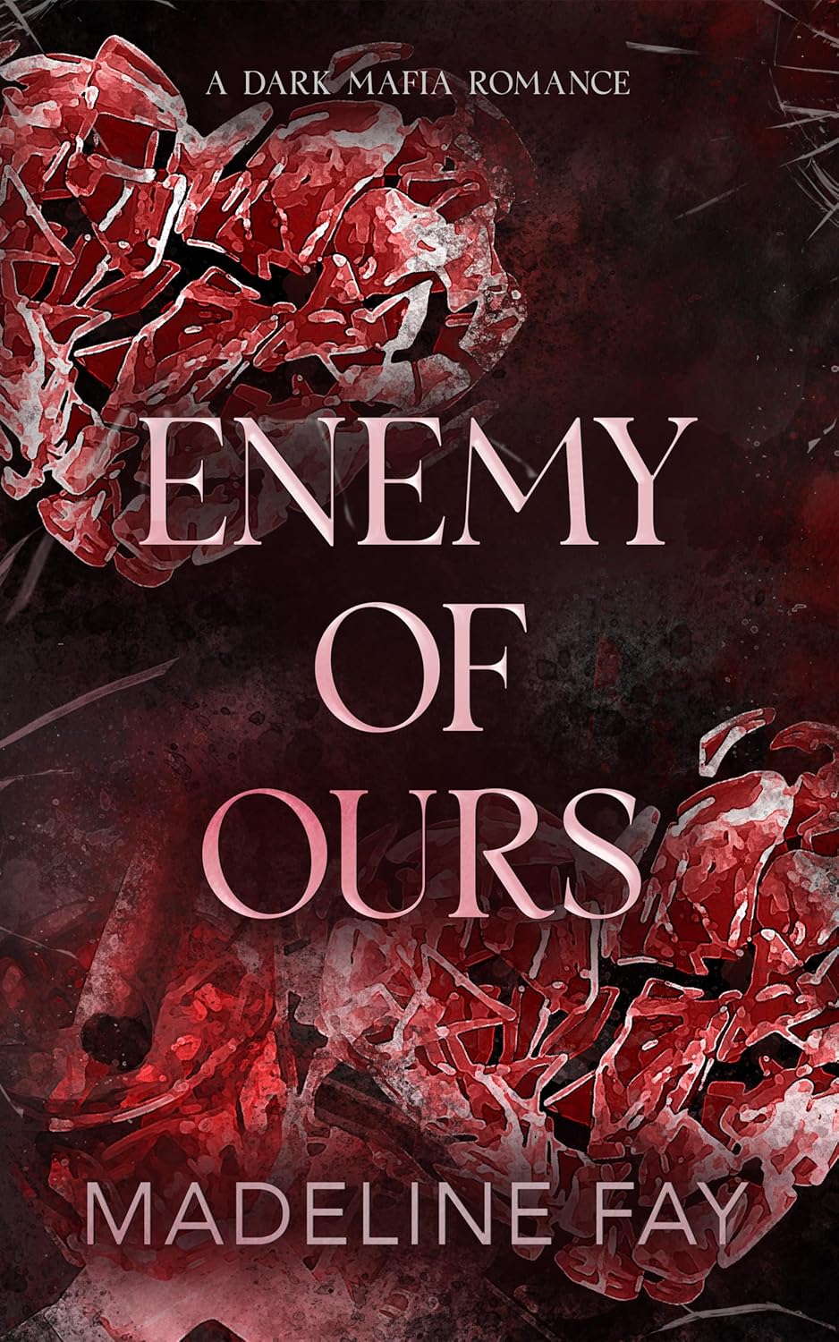 Enemy of Ours book cover