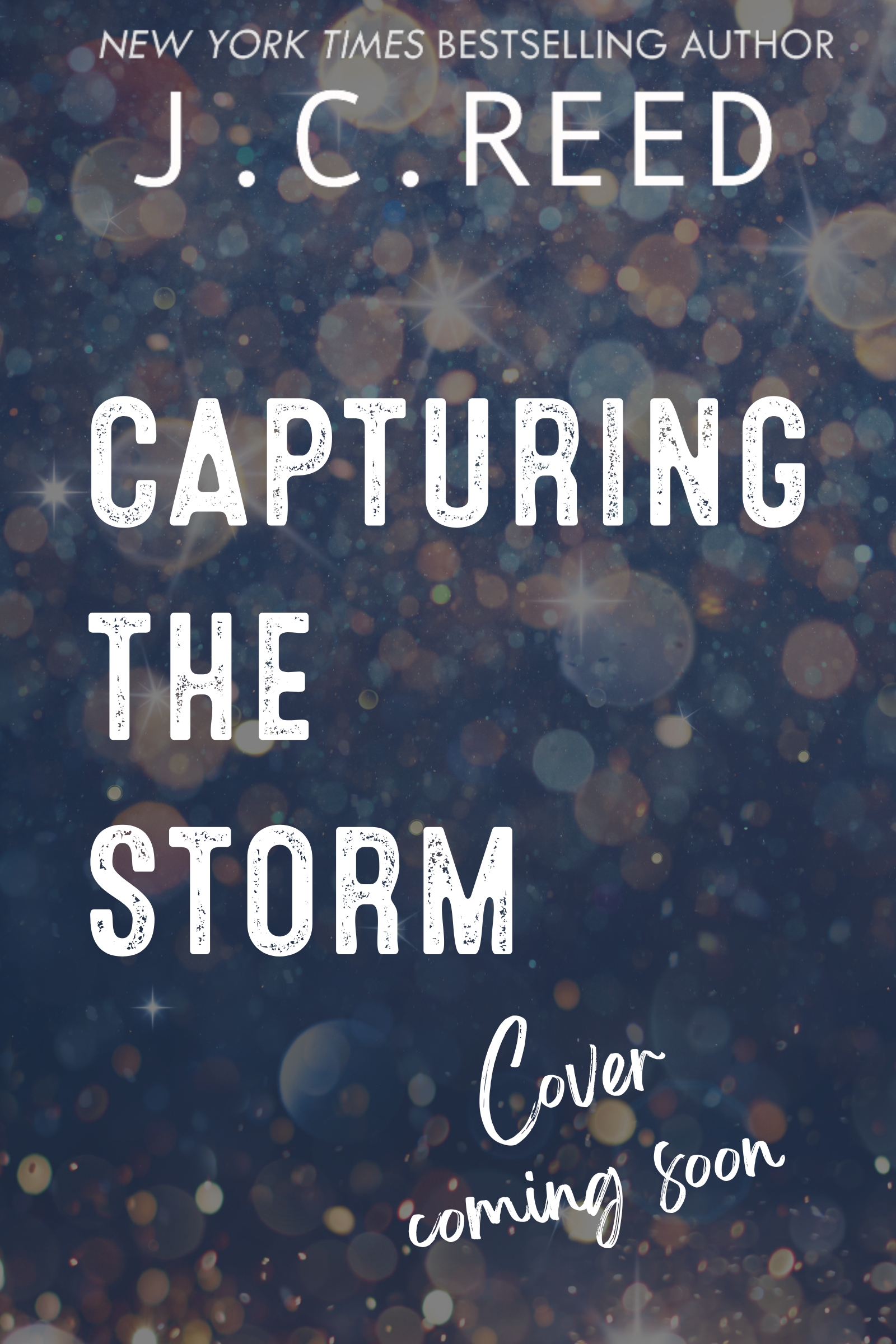 Bracing The Storm book cover 2