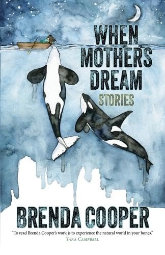 When Mothers Dream book cover