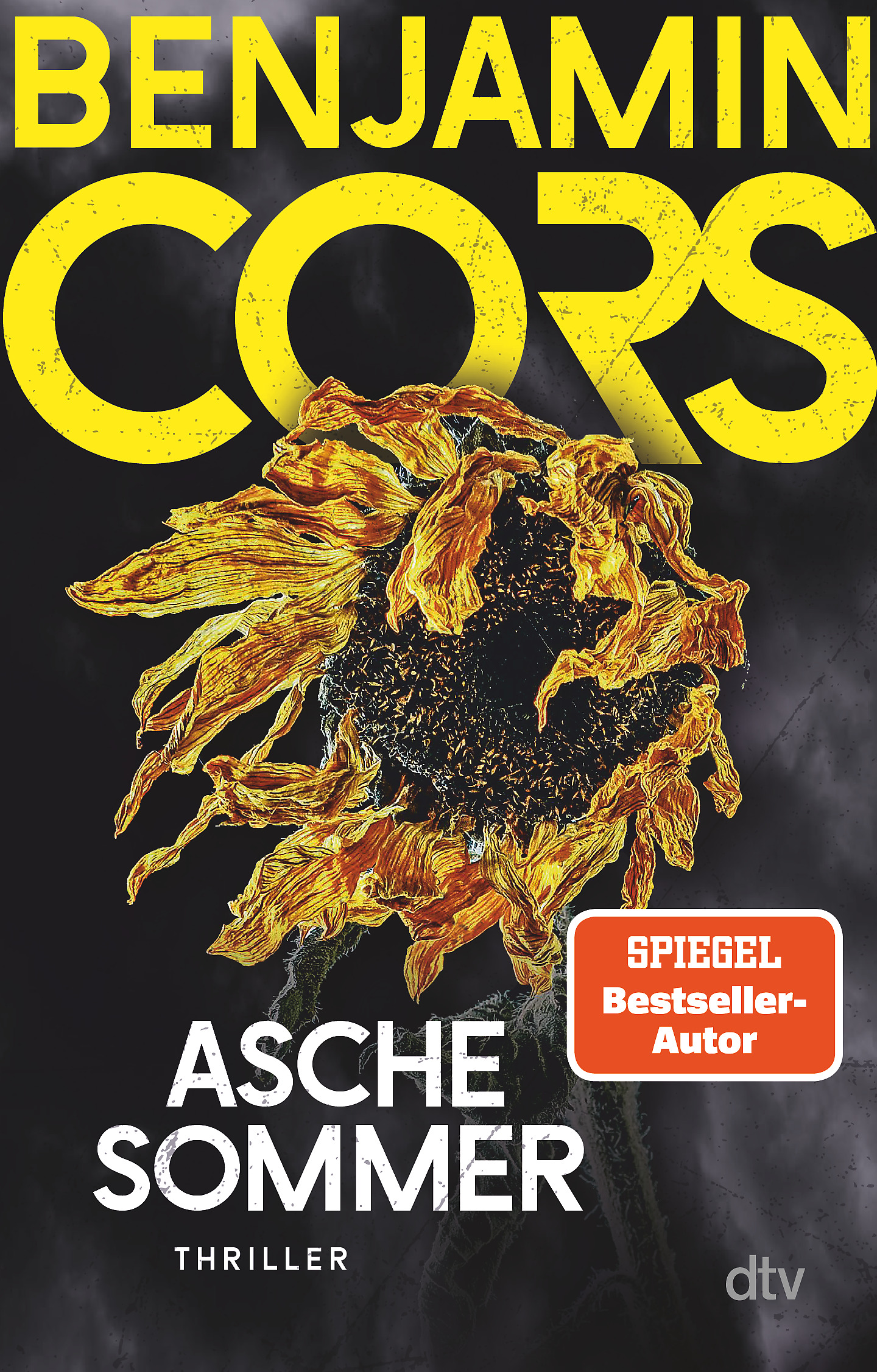 Aschesommer: Thriller