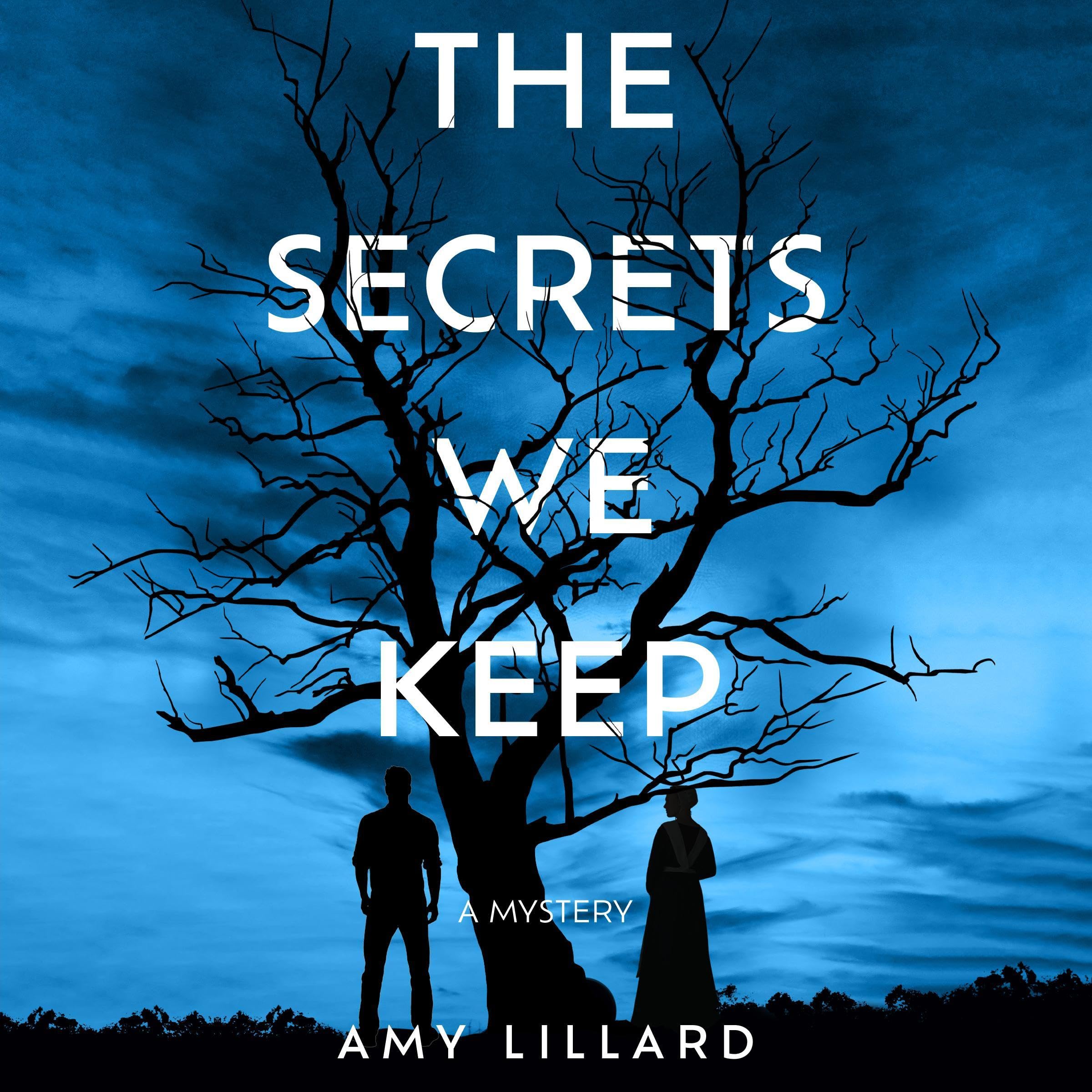 The Secrets We Keep book cover