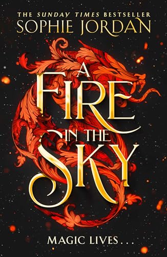 A fire in the sky book cover