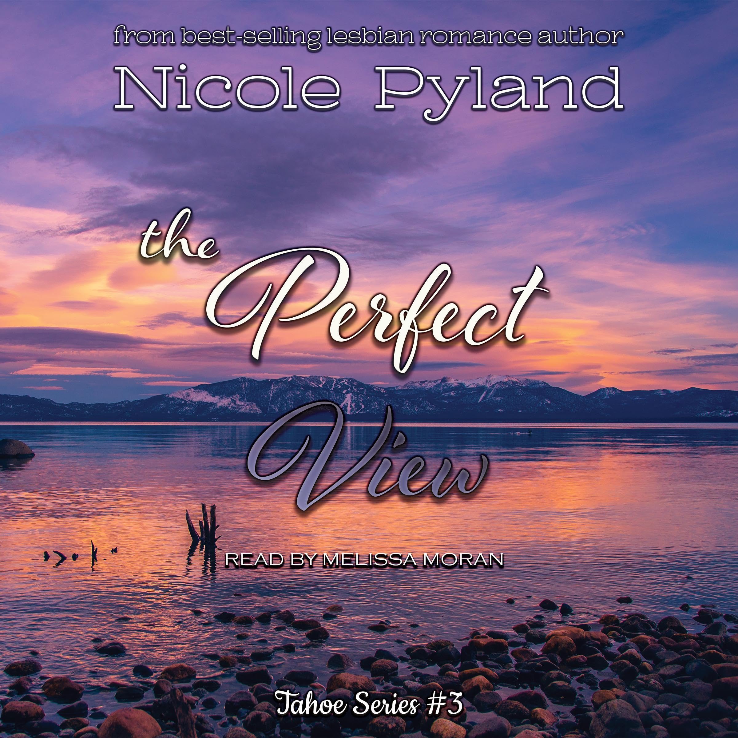 The Perfect View book cover