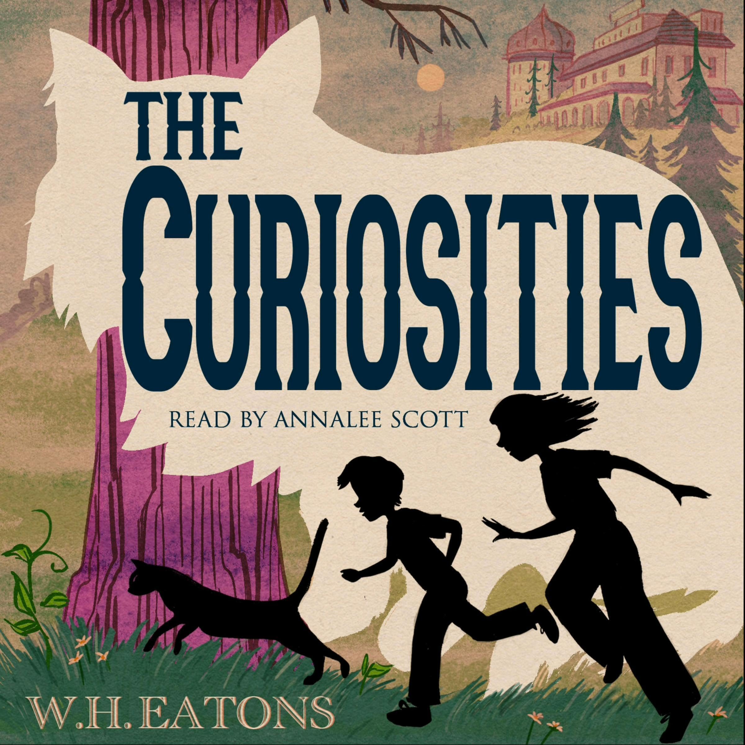The Curiosities book cover