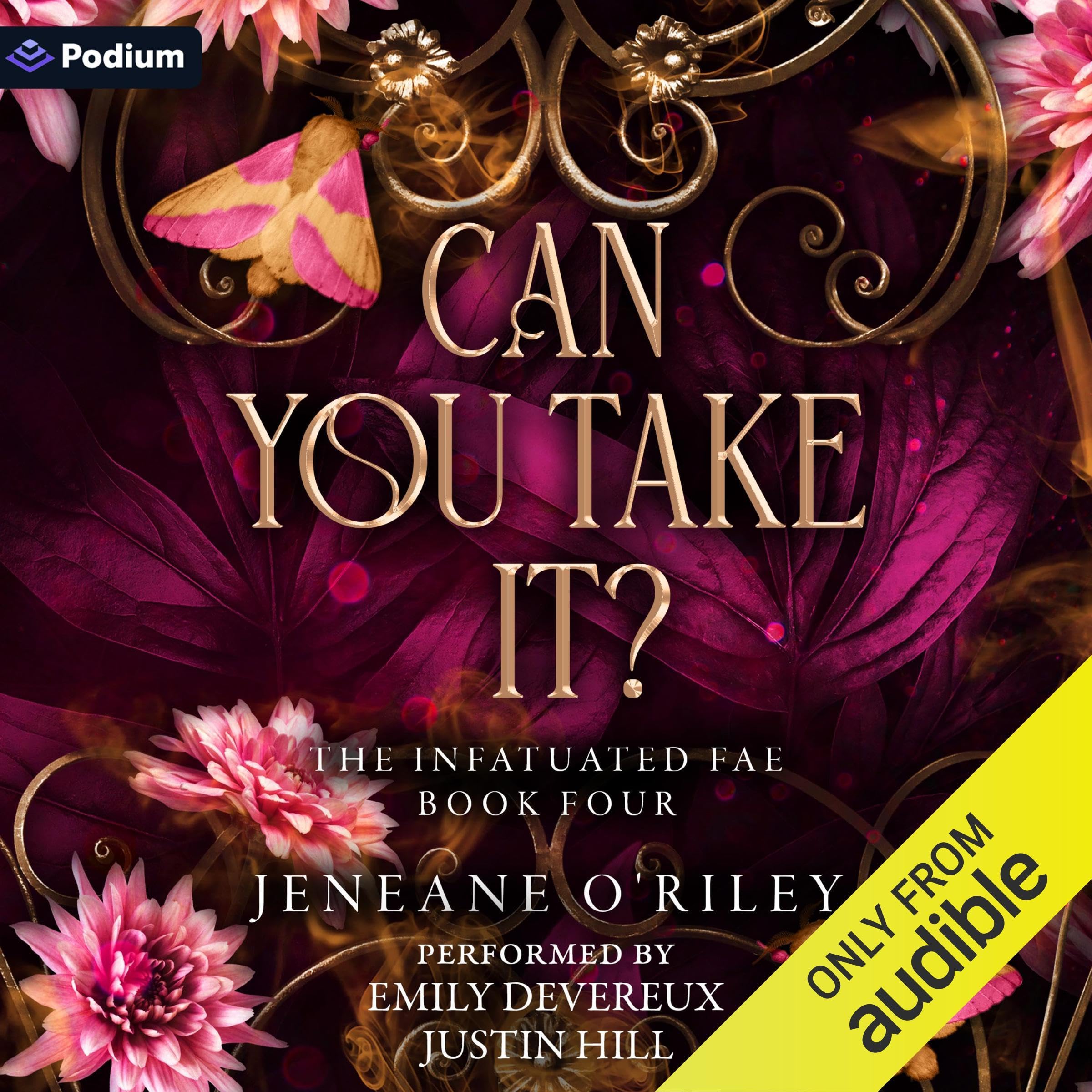 Can You Take It? book cover