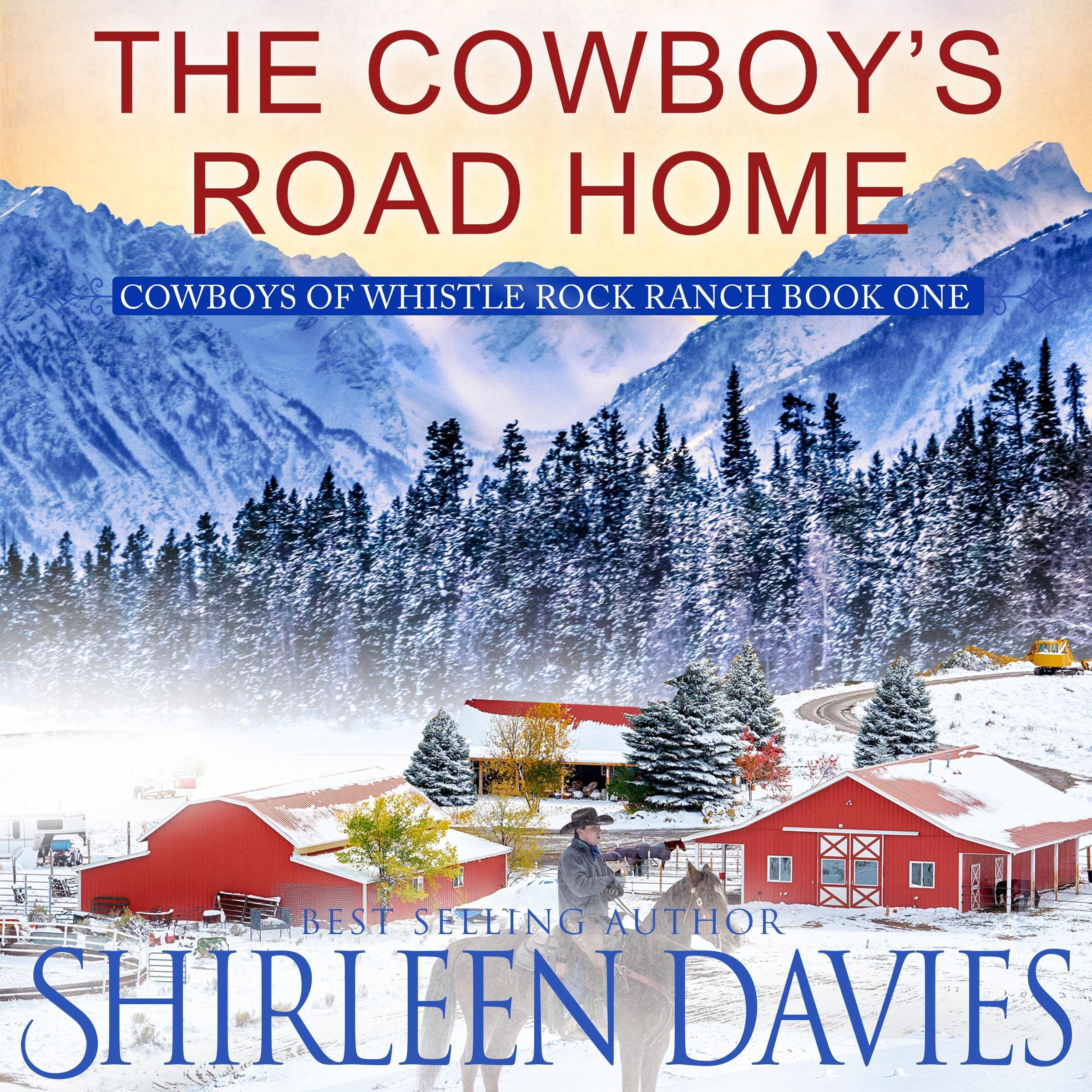The Cowboy's Road Home book cover