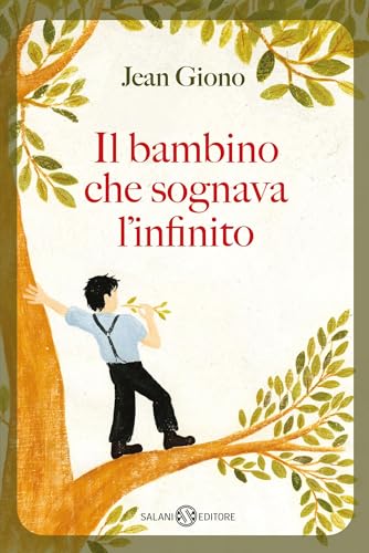 Il bambino che sognava l'infinito book cover