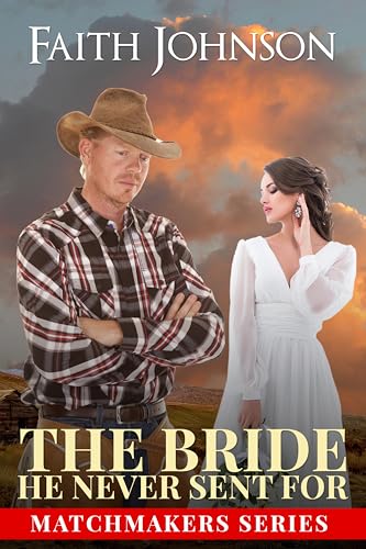 Mail Order Bride book cover