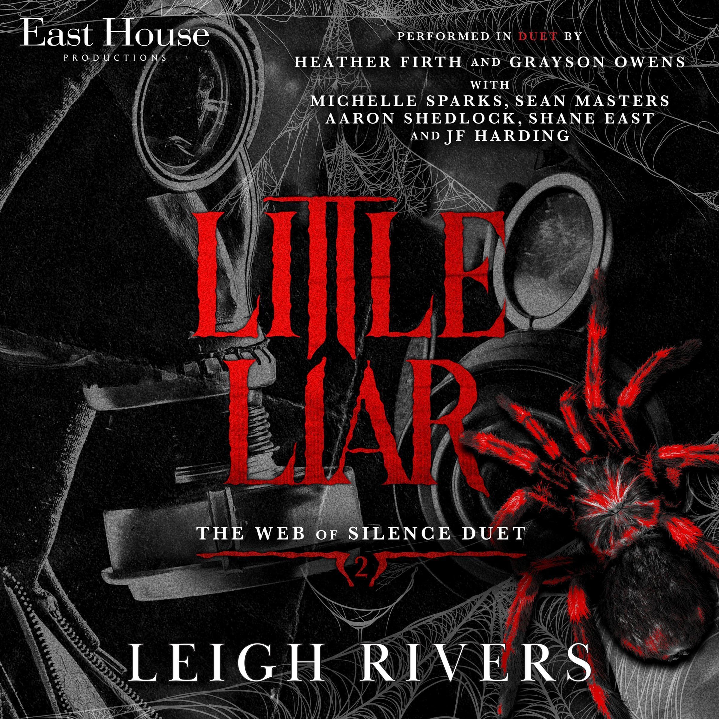 Little Liar book cover