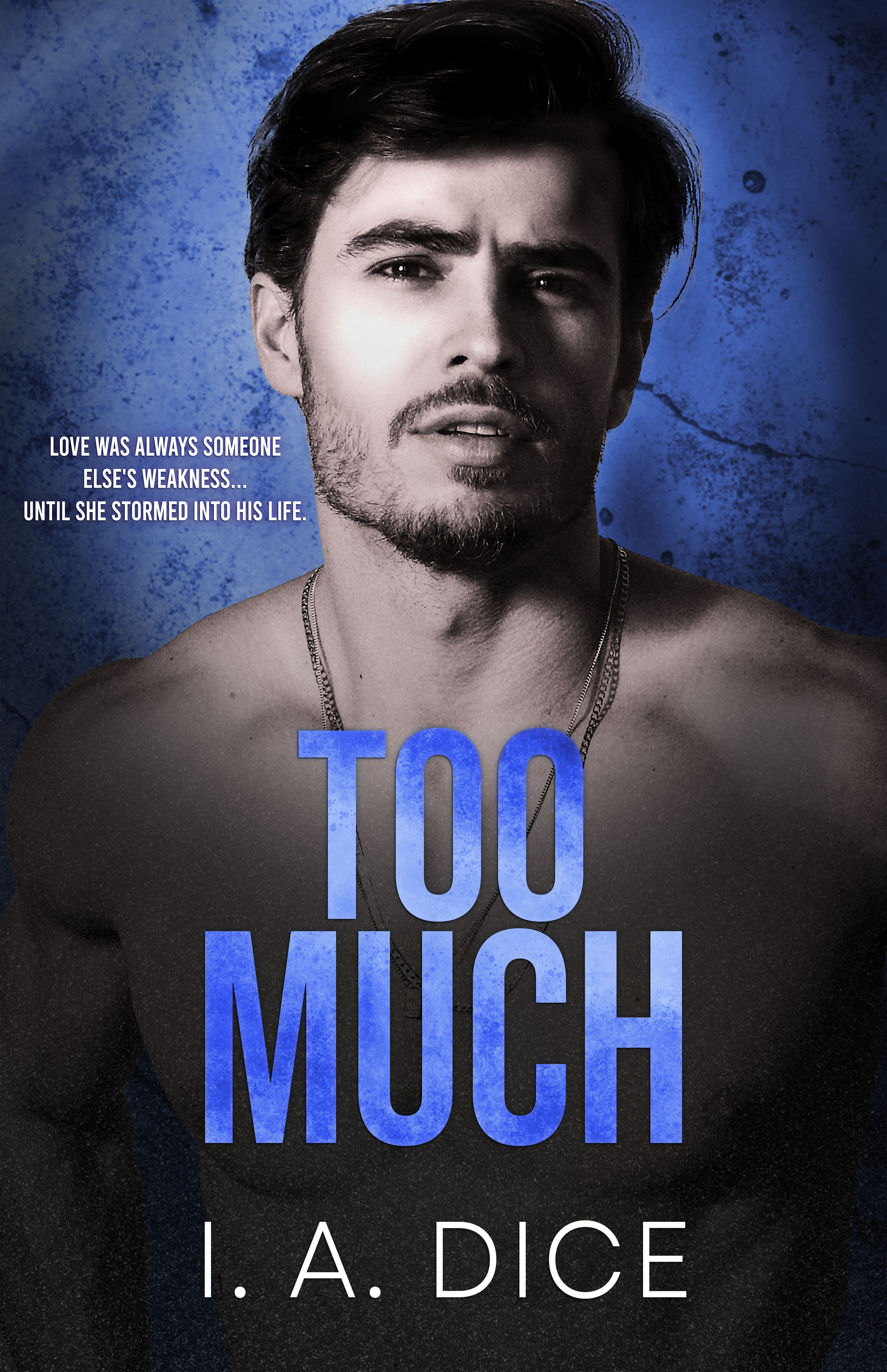 Too Much (Hayes Brothers #1)