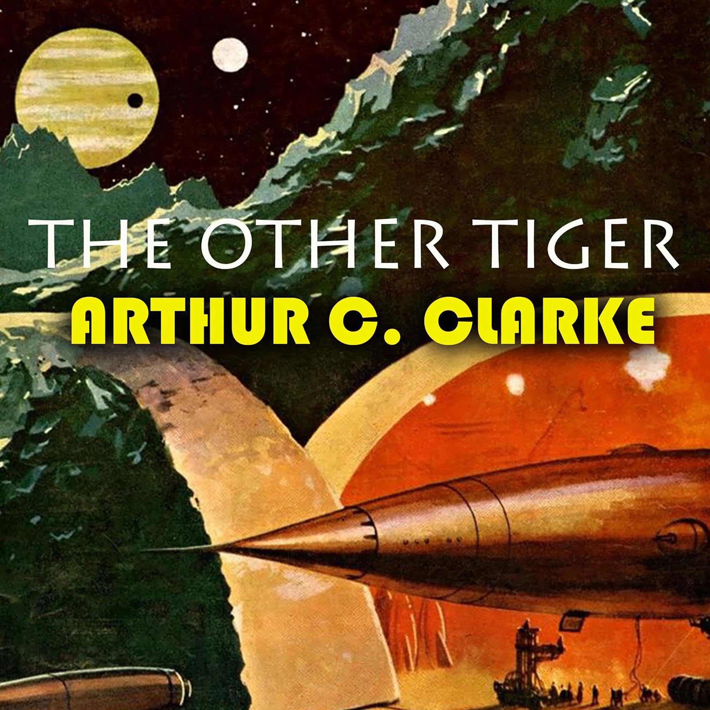 The Other Tiger book cover