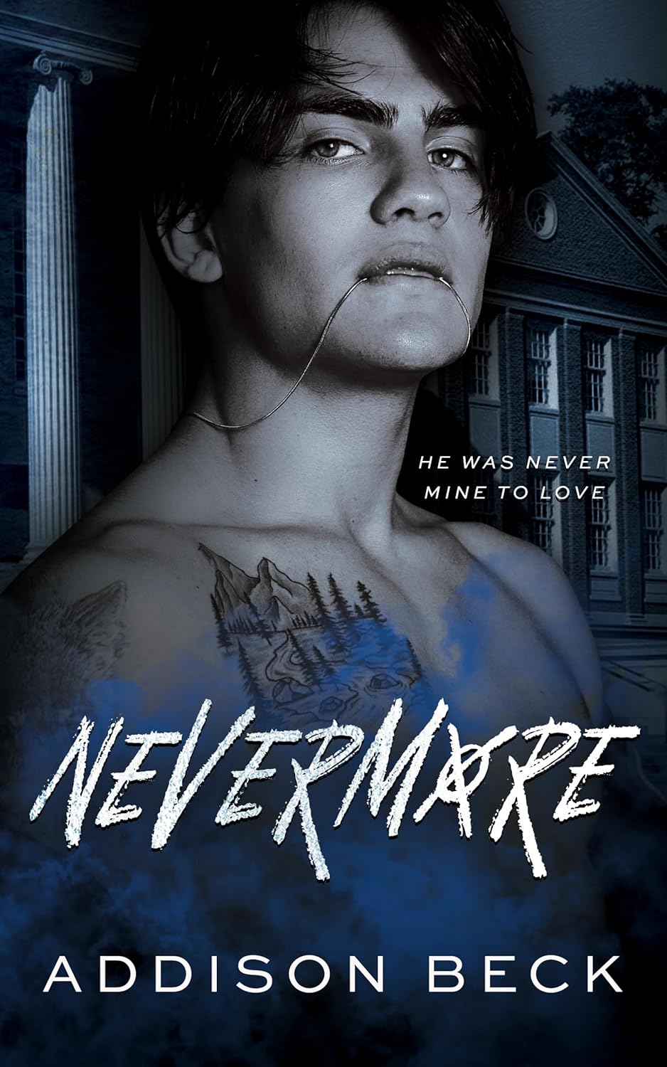 Nevermore book cover
