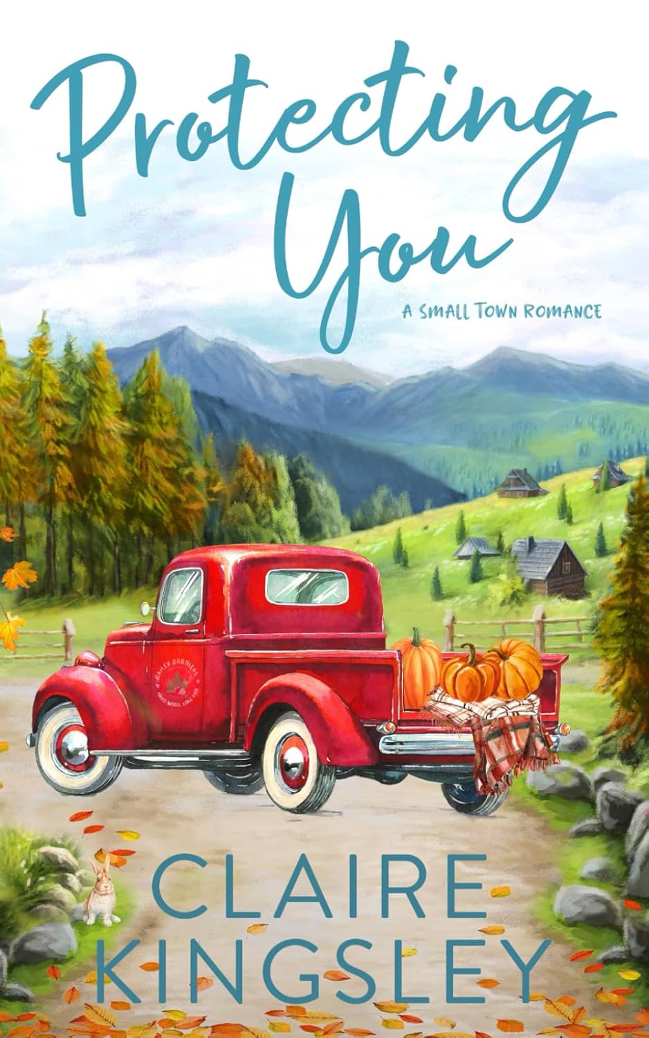 Protecting You (Bailey Brothers, #1)