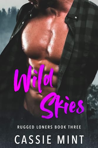 Wild Skies book cover