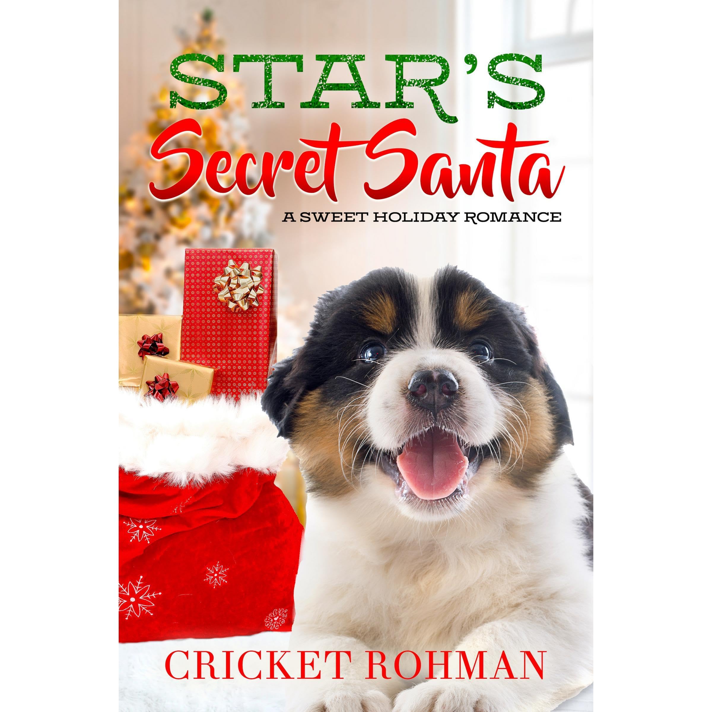 Star's Secret Santa book cover