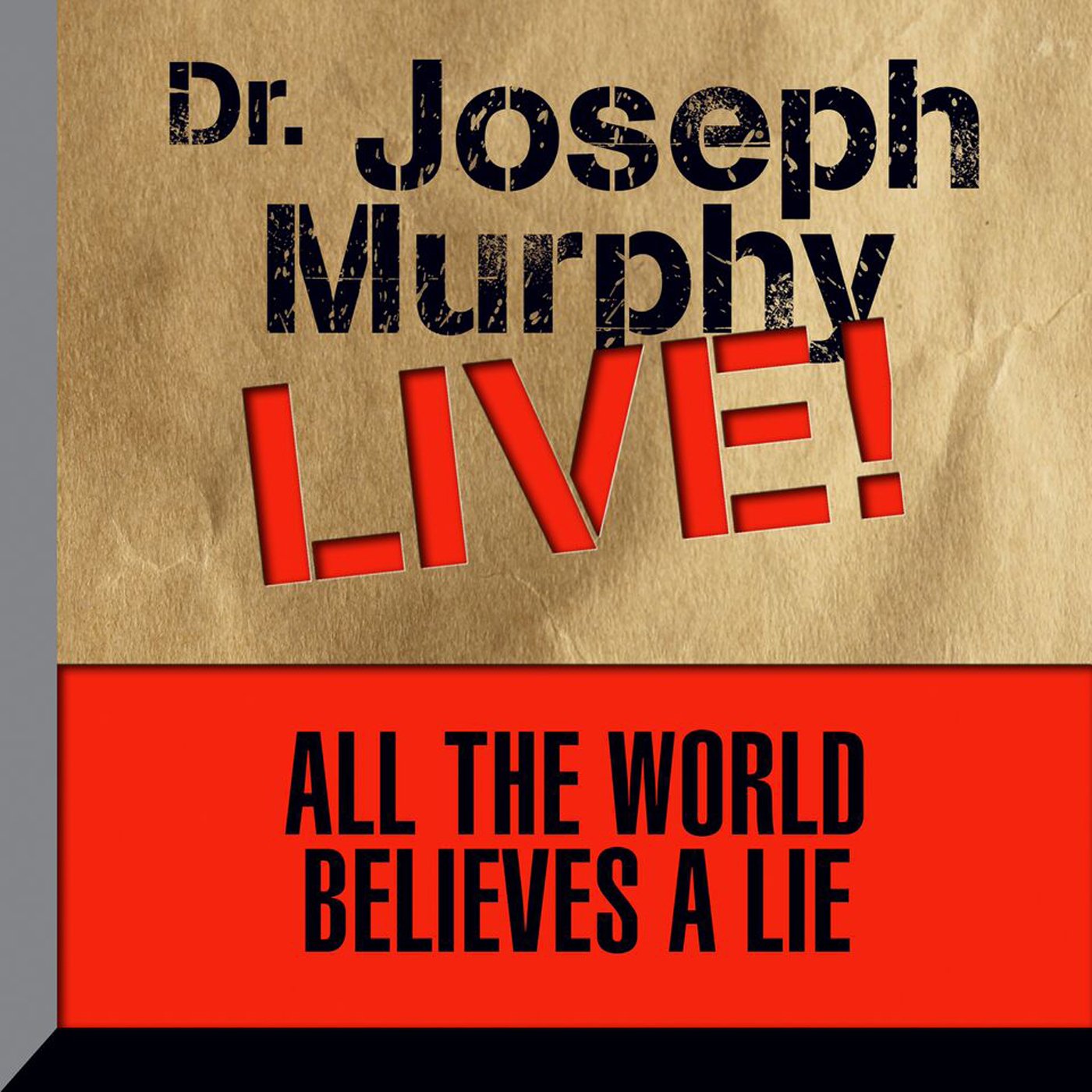 All the World Believes a Lie book cover