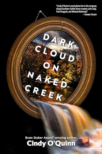 Dark Cloud on Naked Creek book cover