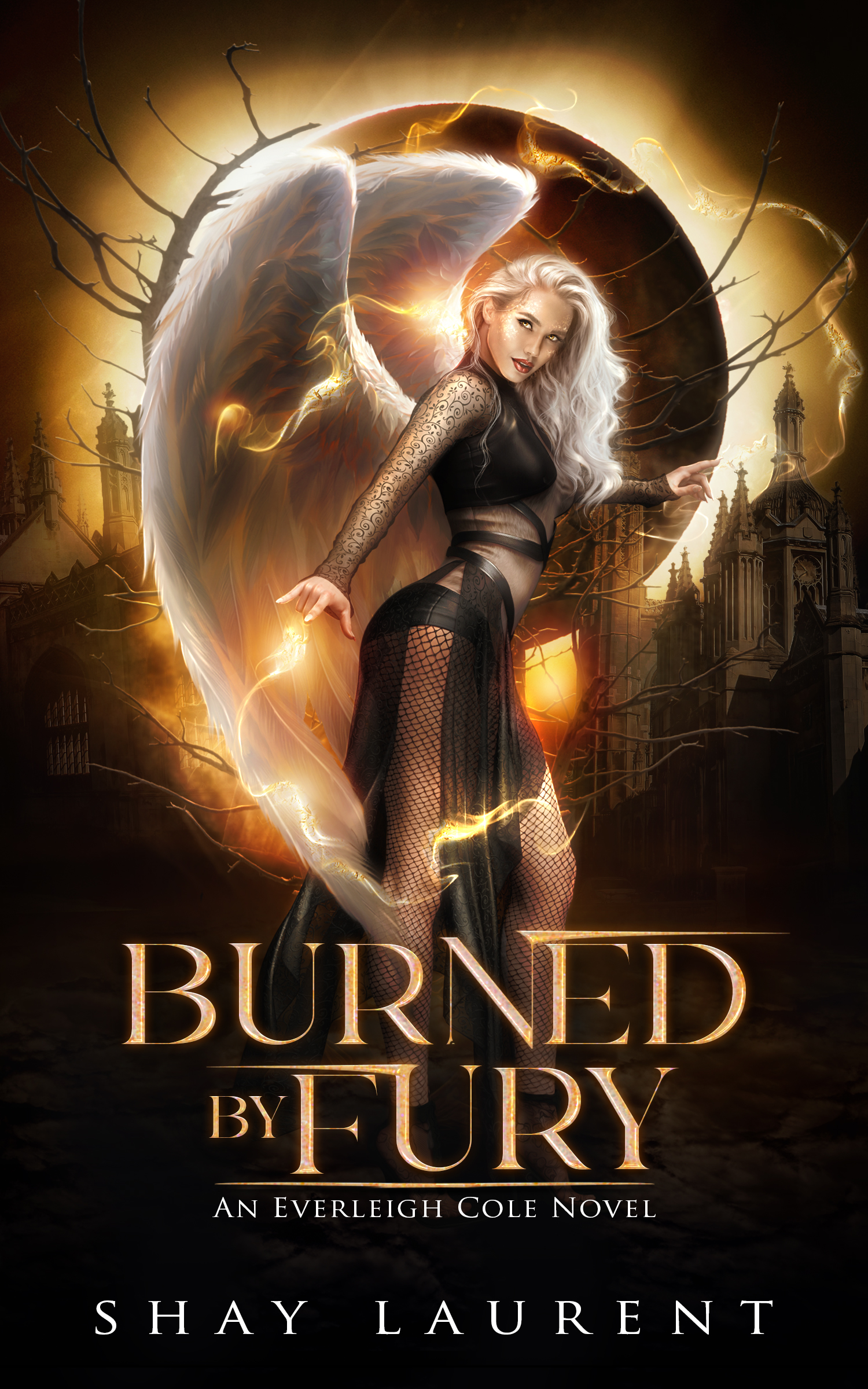 Burned By Fury book cover