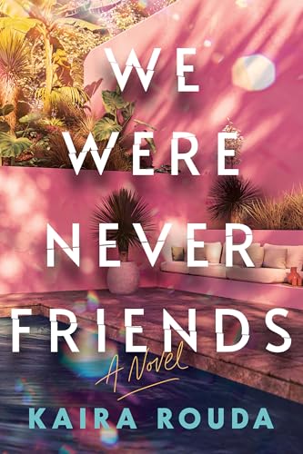 We Were Never Friends book cover