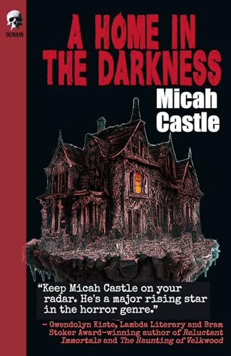 A Home In The Darkness book cover