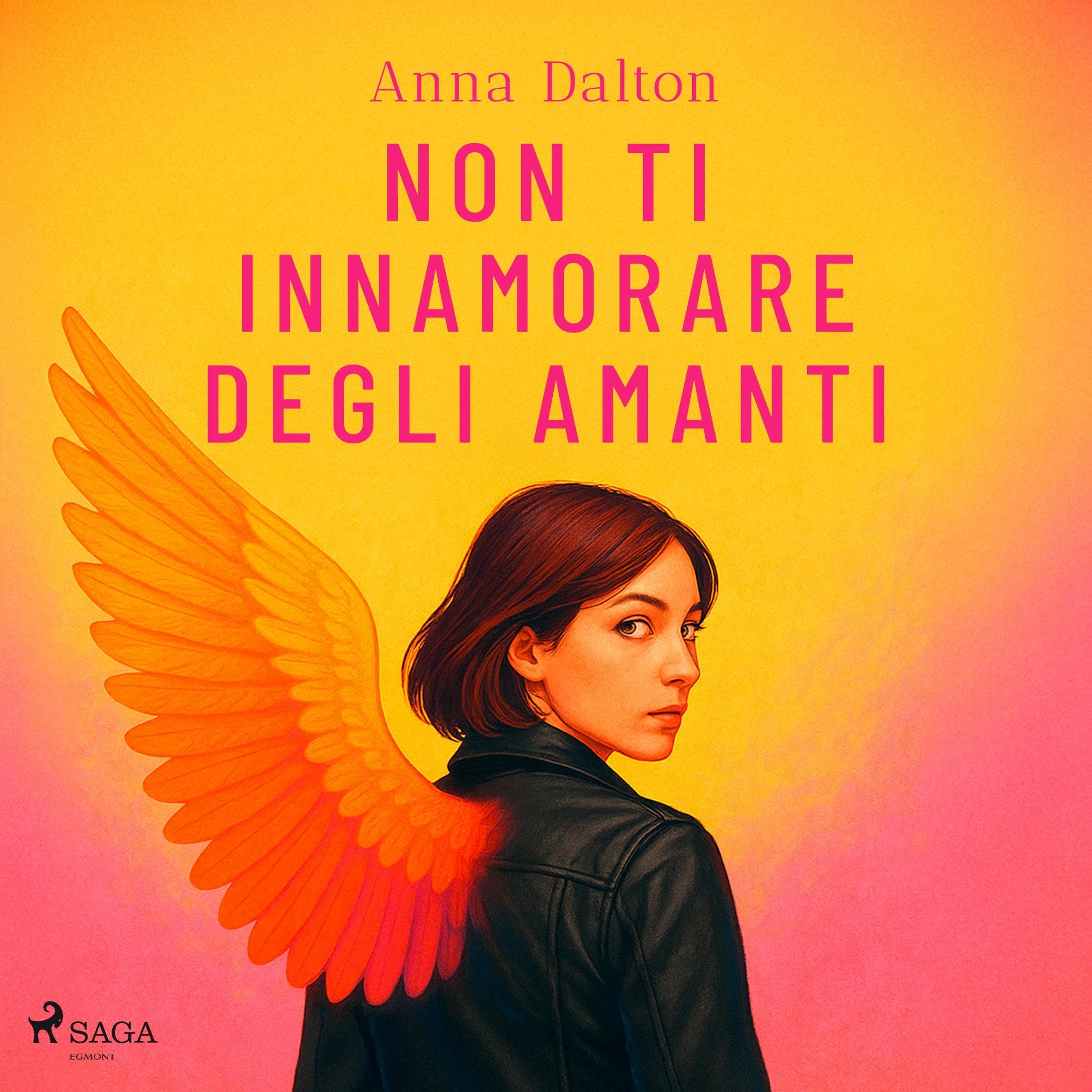 Non ti innamorare degli amanti book cover