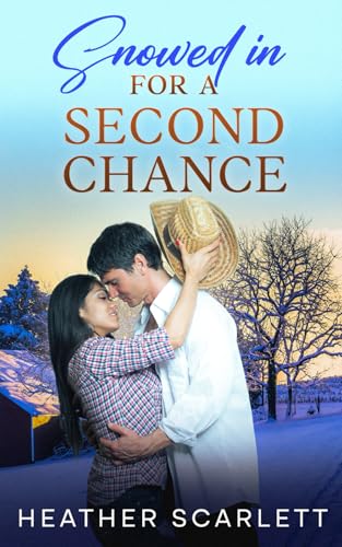 Snowed In for a Second Chance book cover