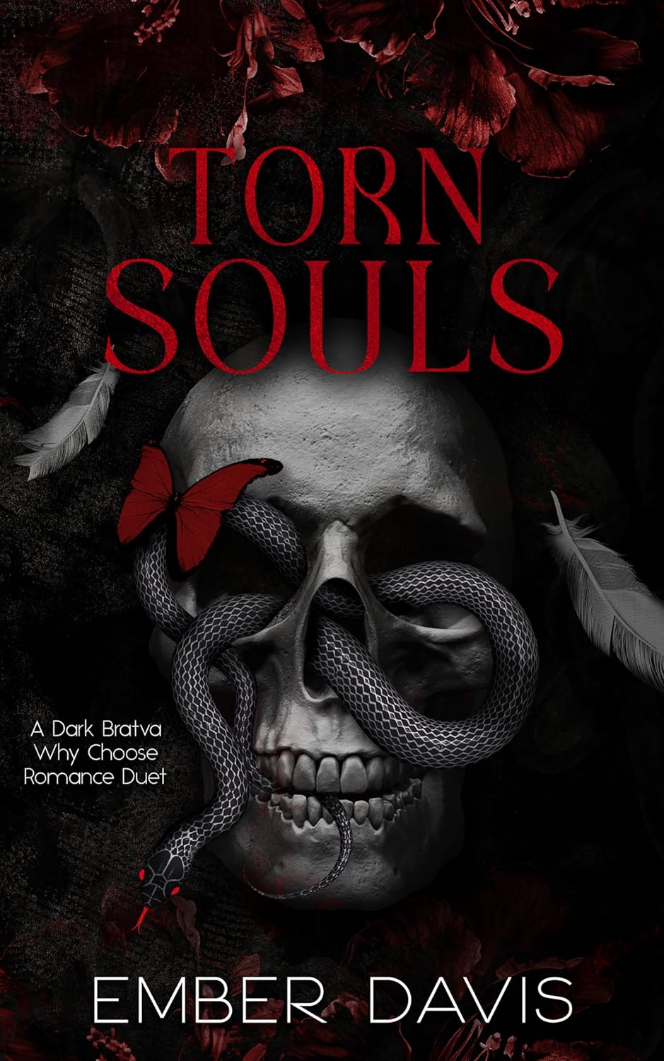 Torn Souls book cover