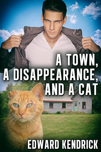 A Town, a Disappearance, and a Cat book cover
