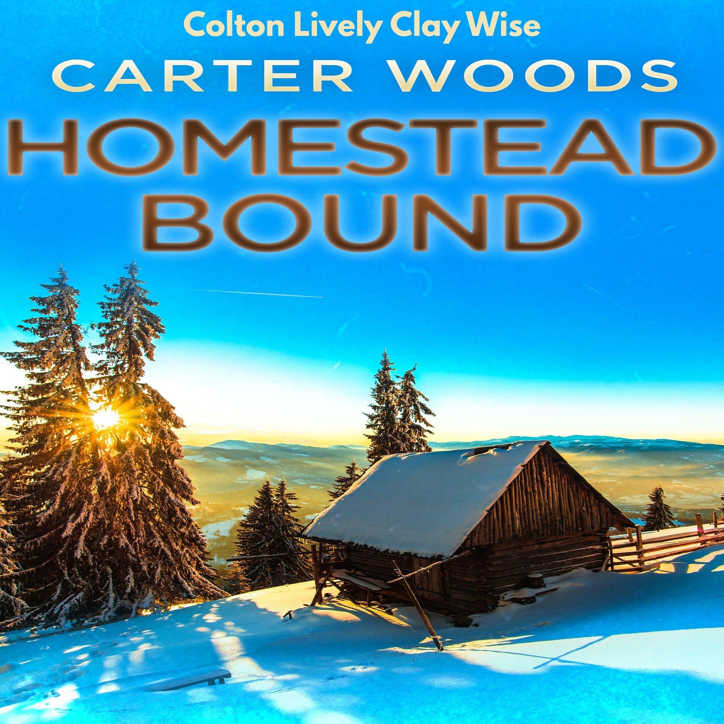 Homestead Bound book cover