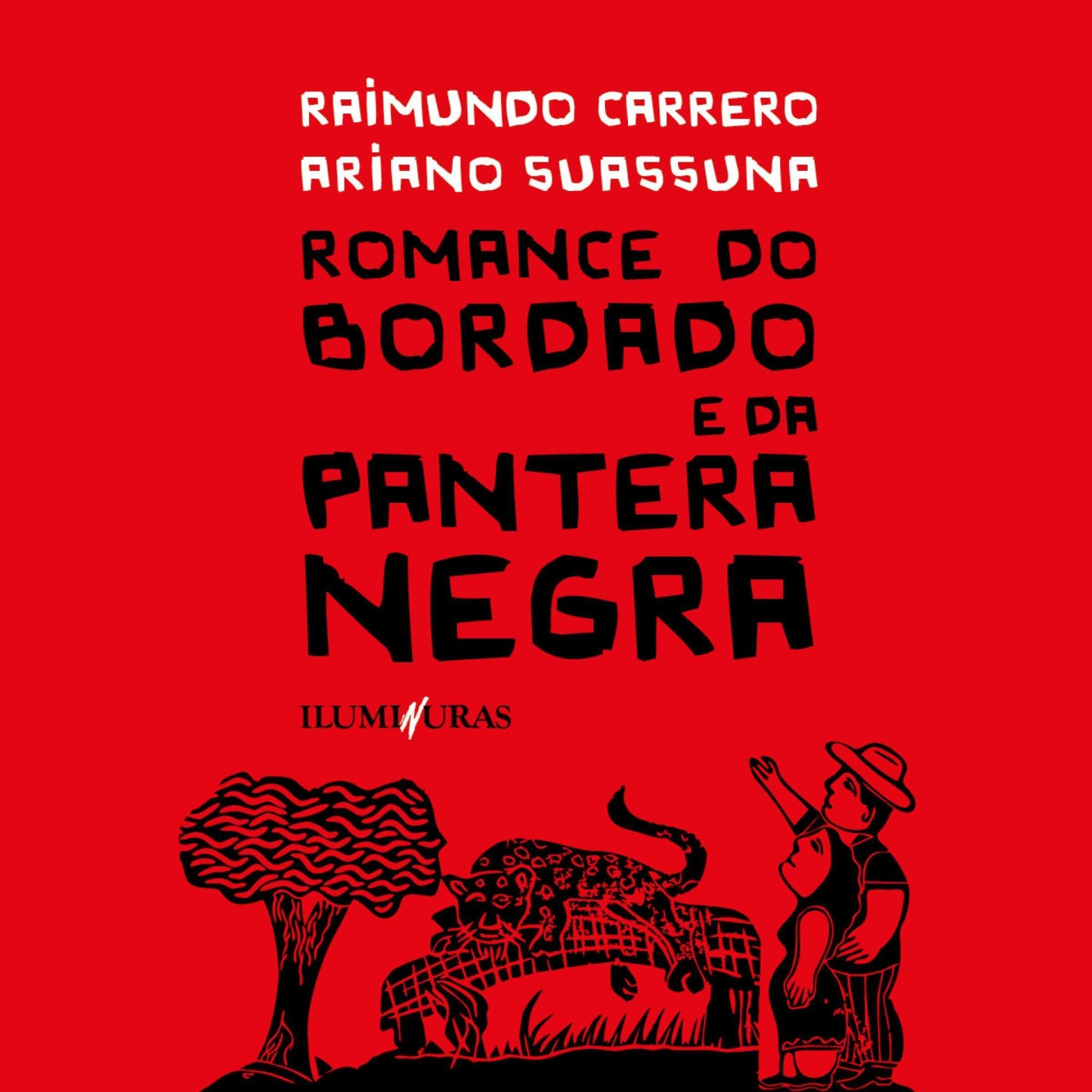 Romance do bordado e da pantera negra book cover