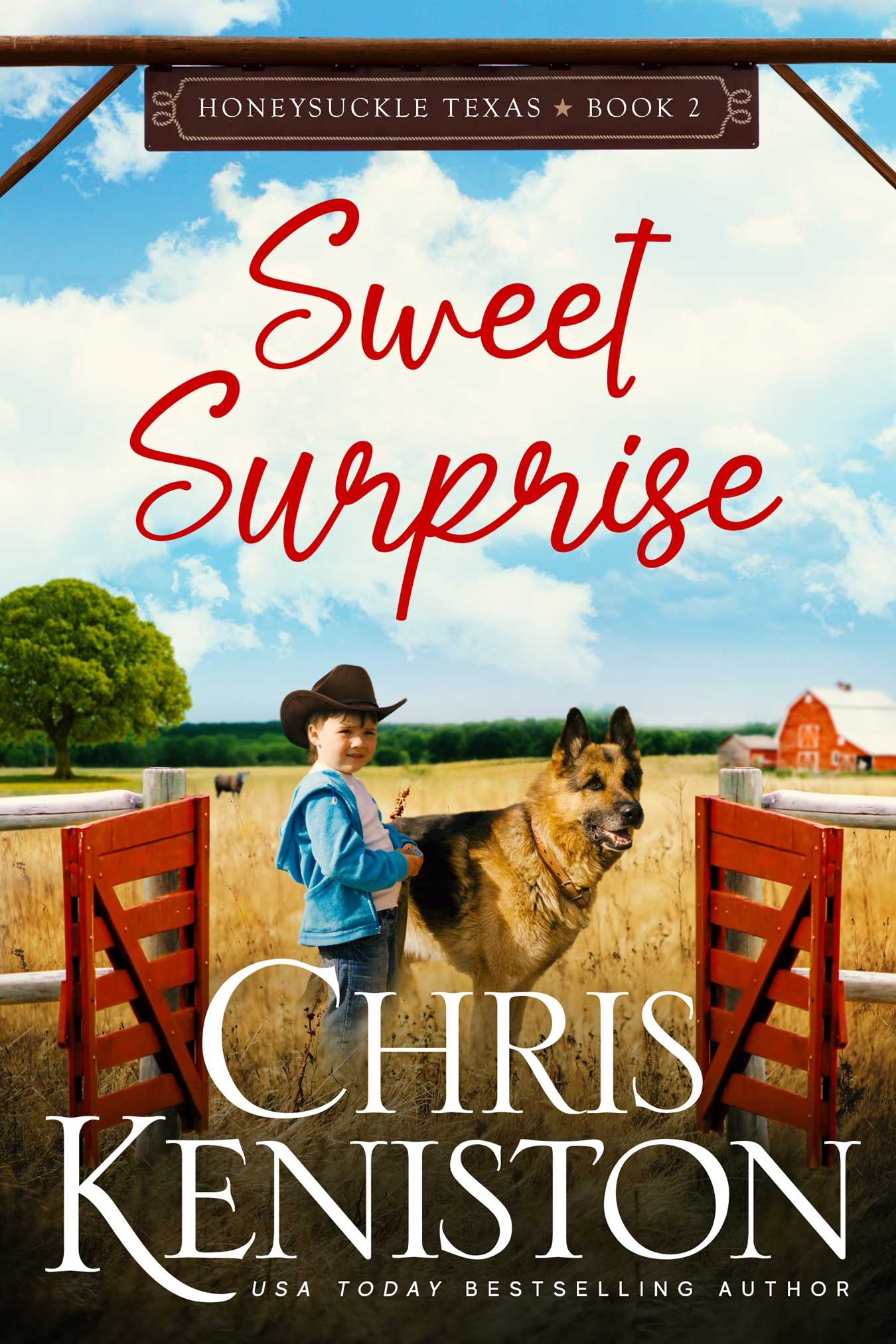 Honeysuckle, Texas book cover 2