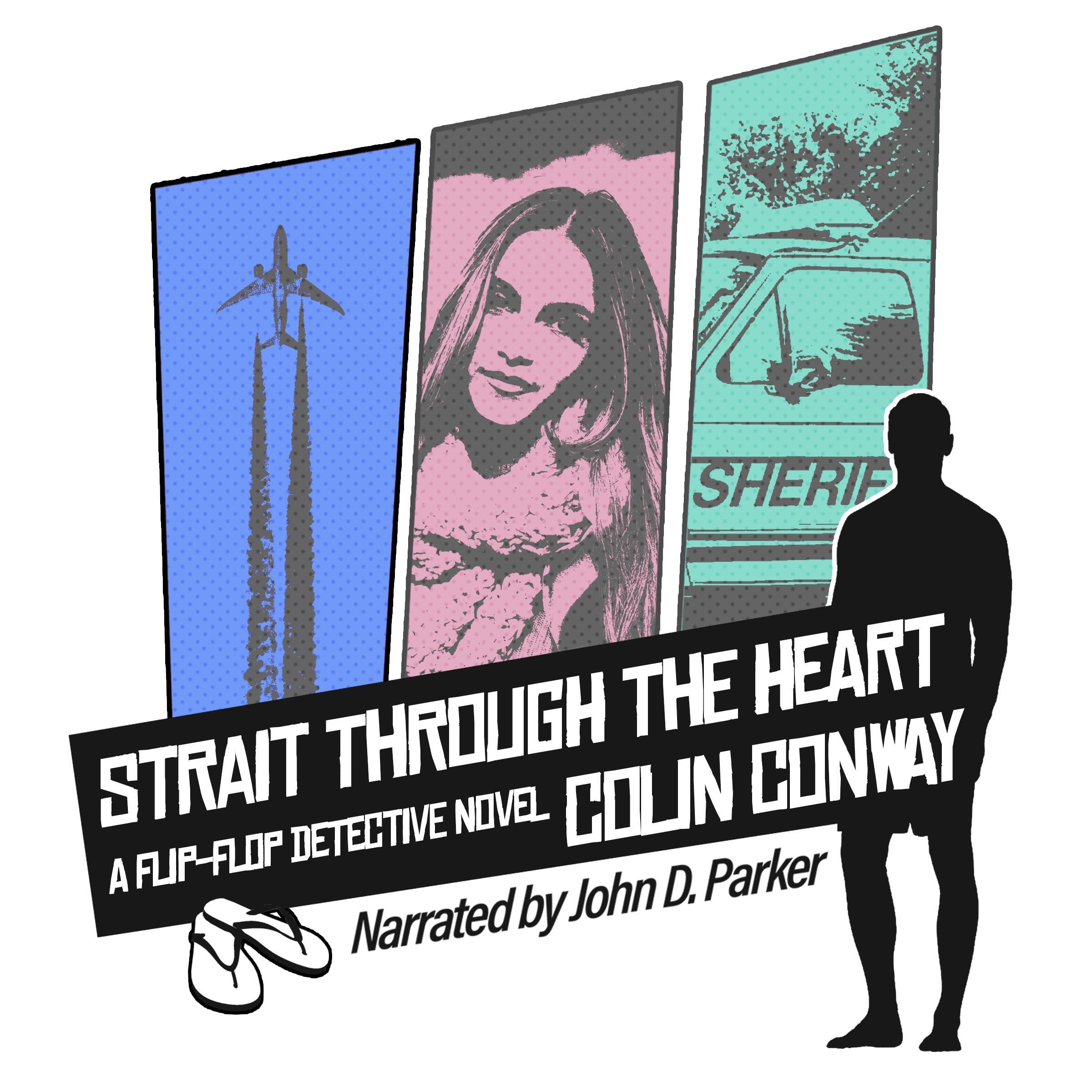 The Flip-Flop Detective Series book cover 1