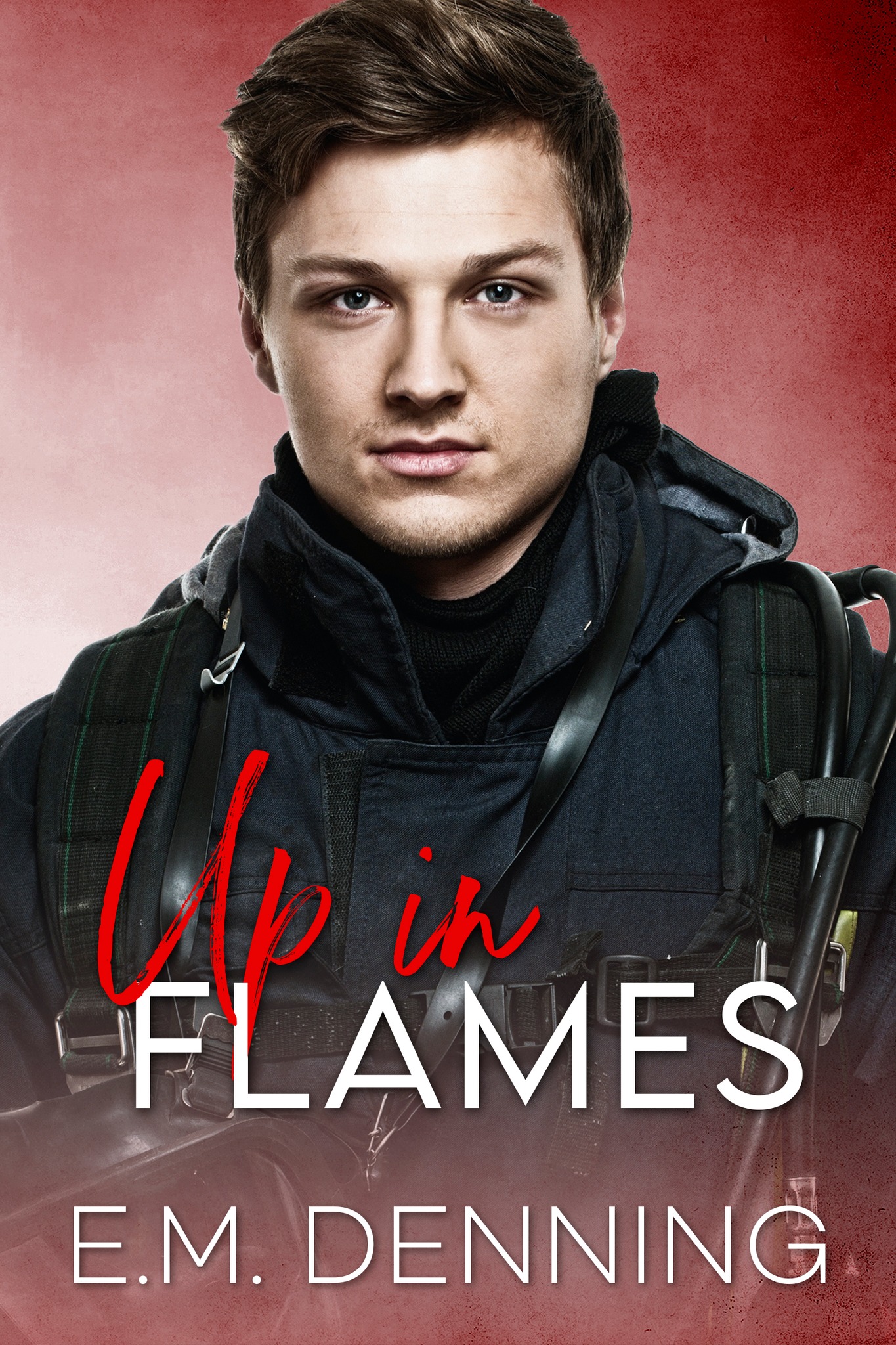 Up in Flames book cover