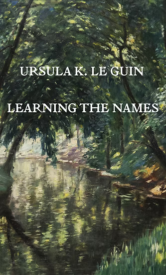 Learning the Names book cover