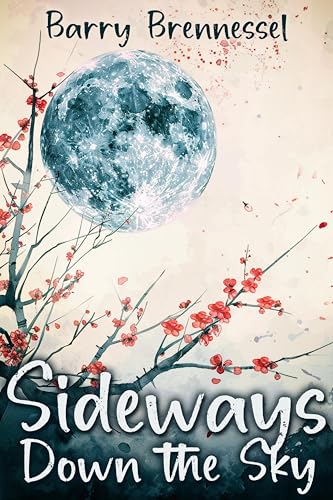 Sideways Down the Sky book cover