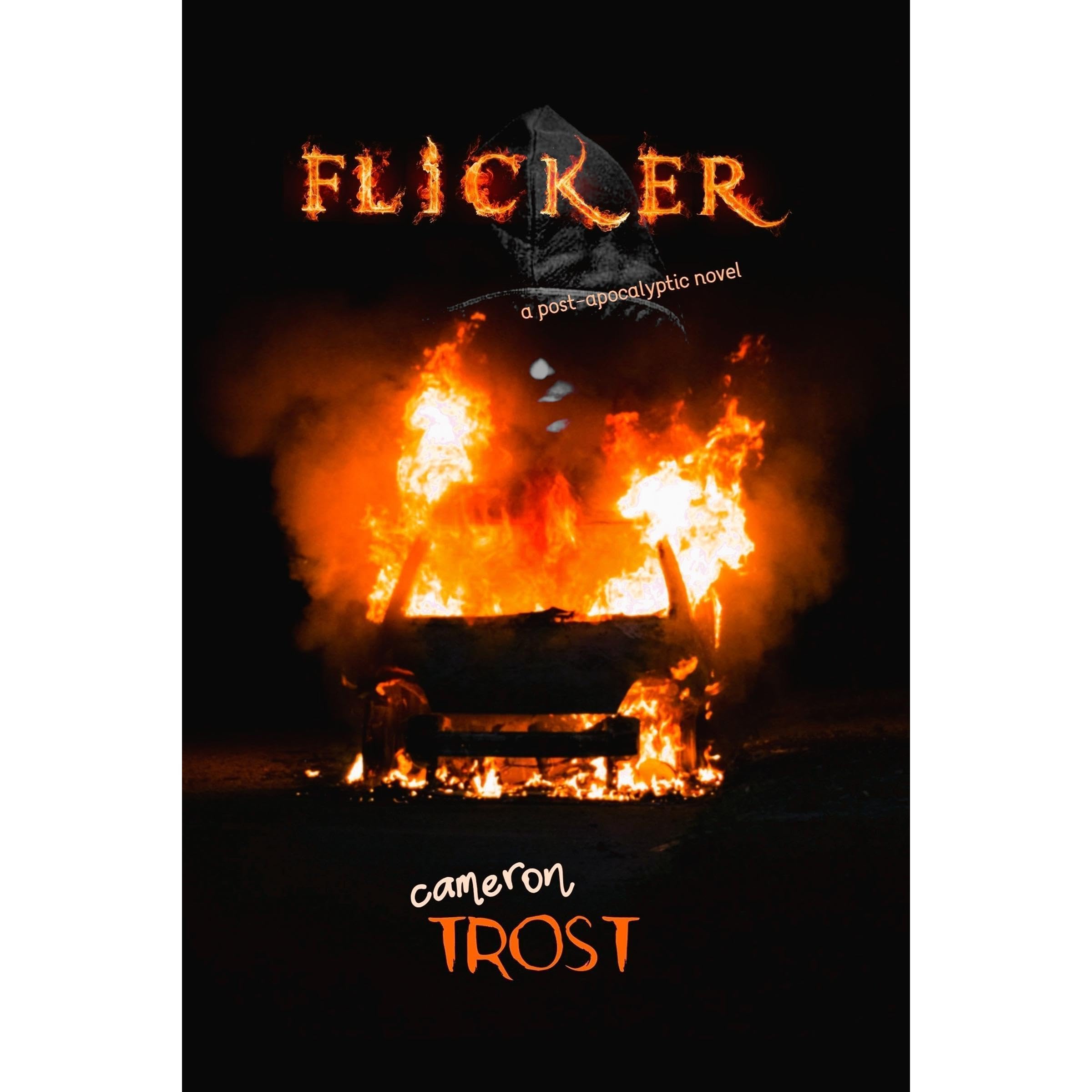 Flicker book cover