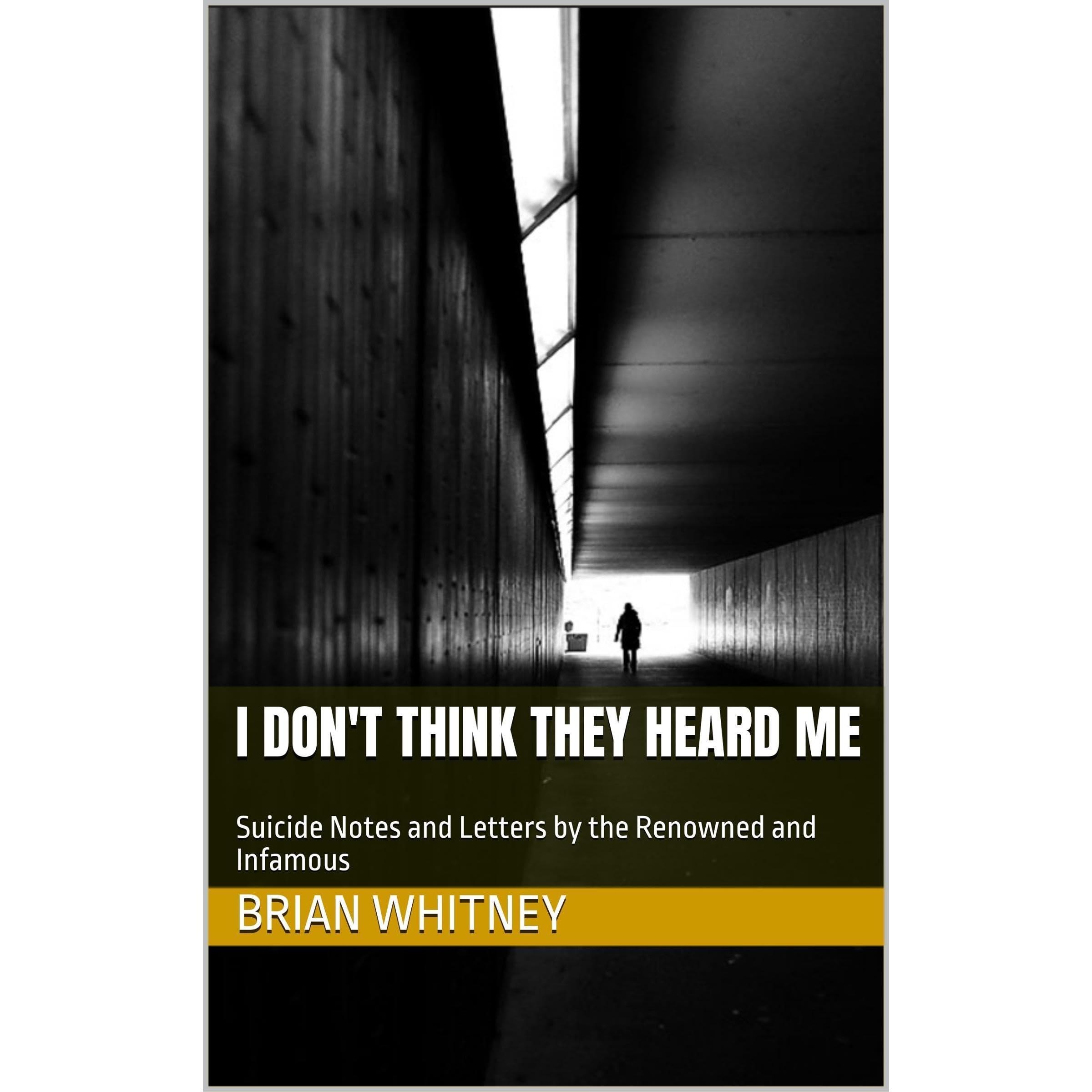 I Don't Think They Heard Me book cover