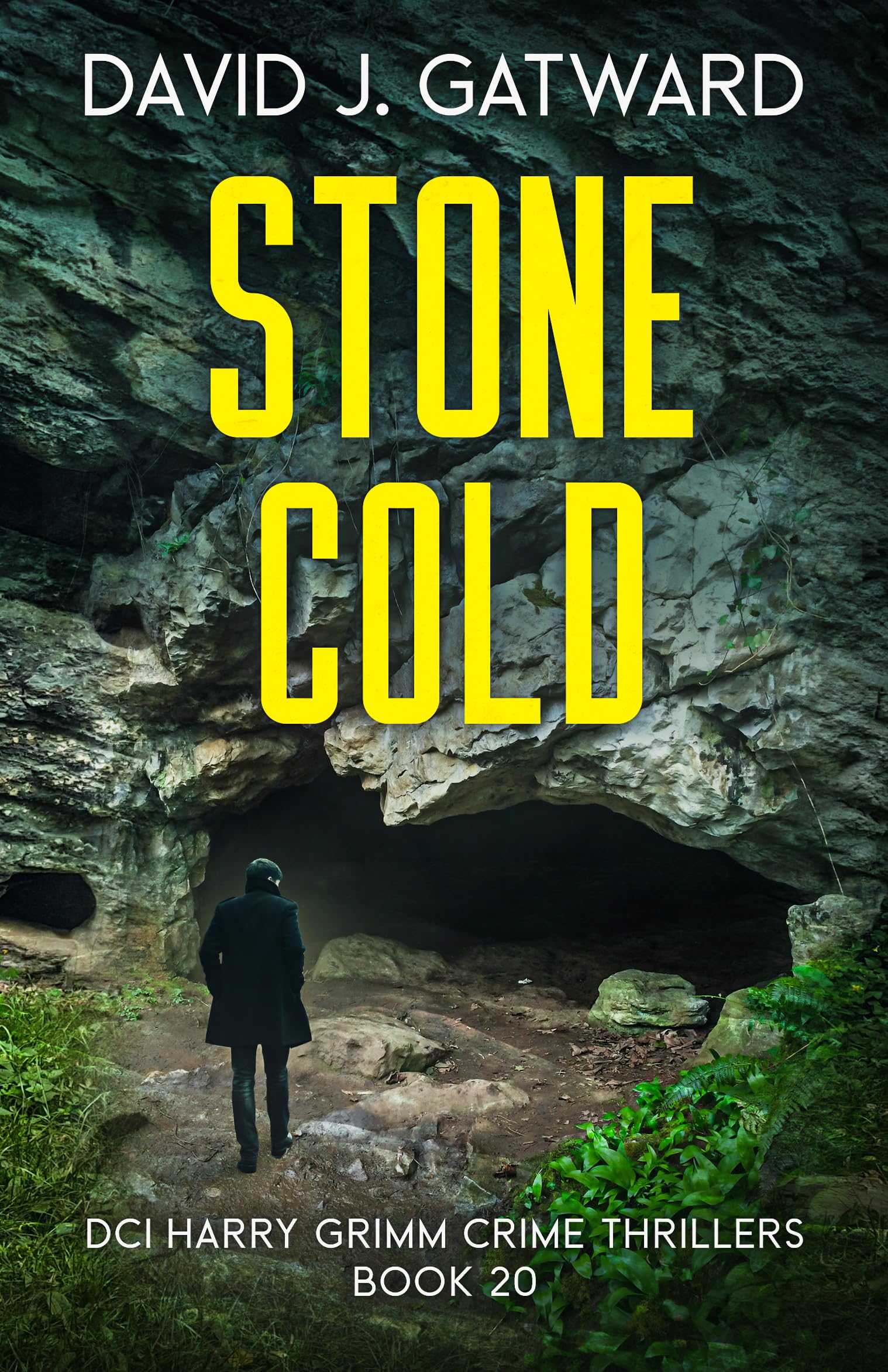 Stone Cold (DCI Harry Grimm, #20) by David J. Gatward | Goodreads