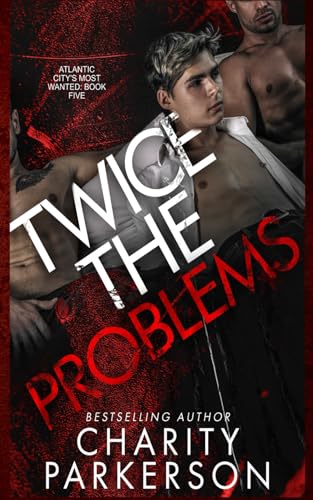 Twice the Problems book cover