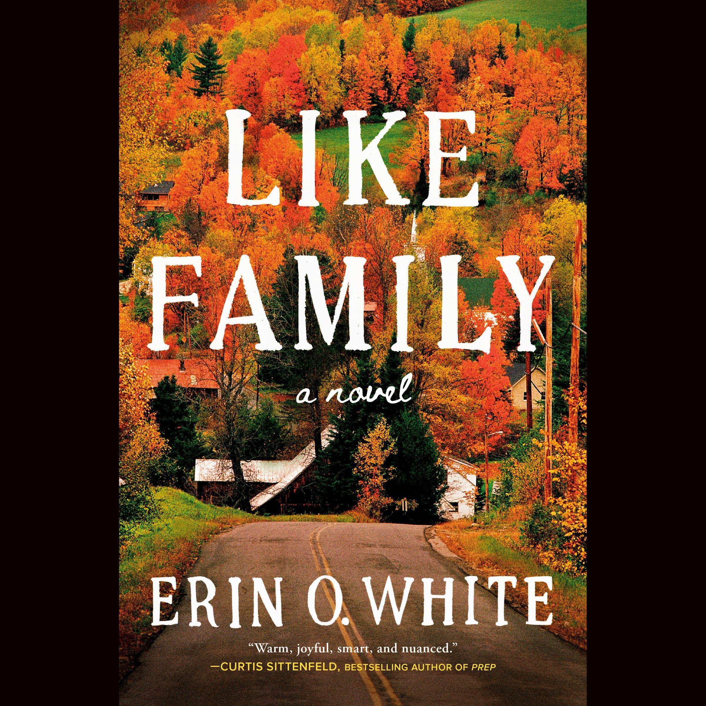 Like Family: A Novel
