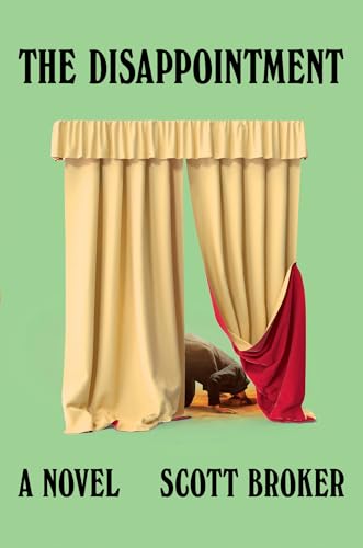 The Disappointment book cover