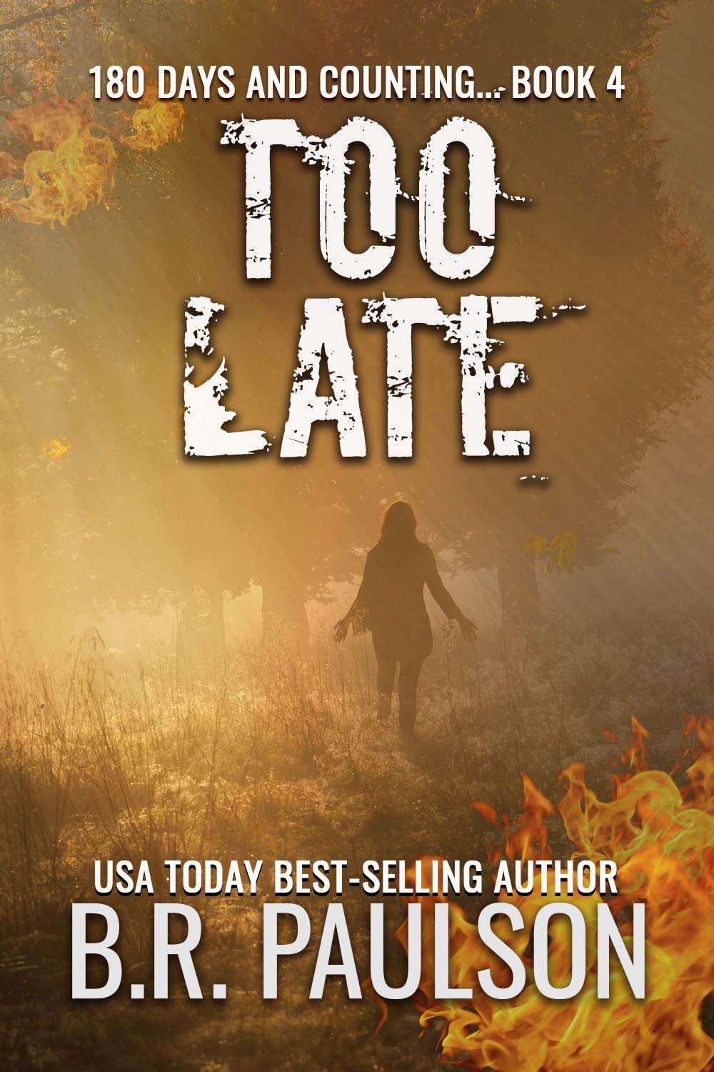 180 Days and Counting... book cover 3