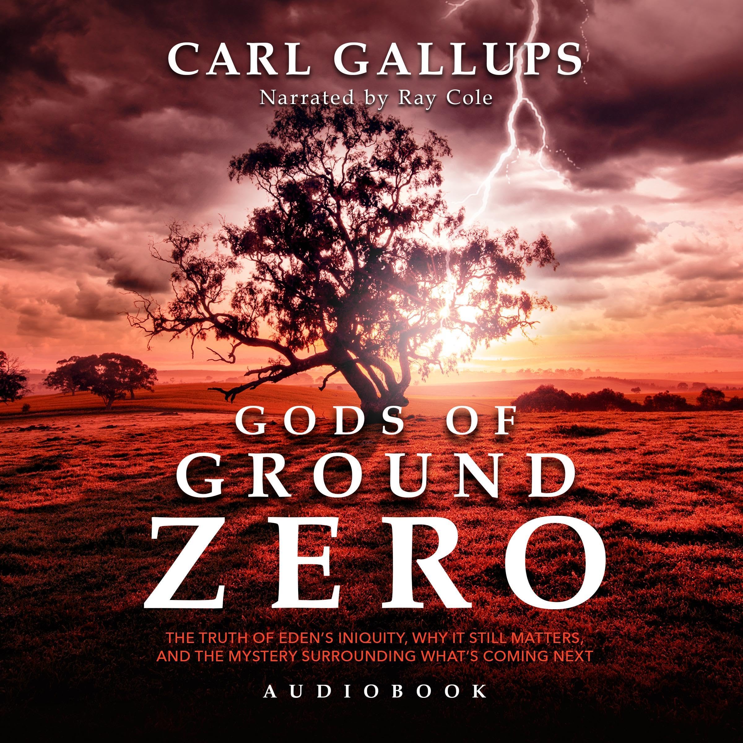 Gods of Ground Zero book cover