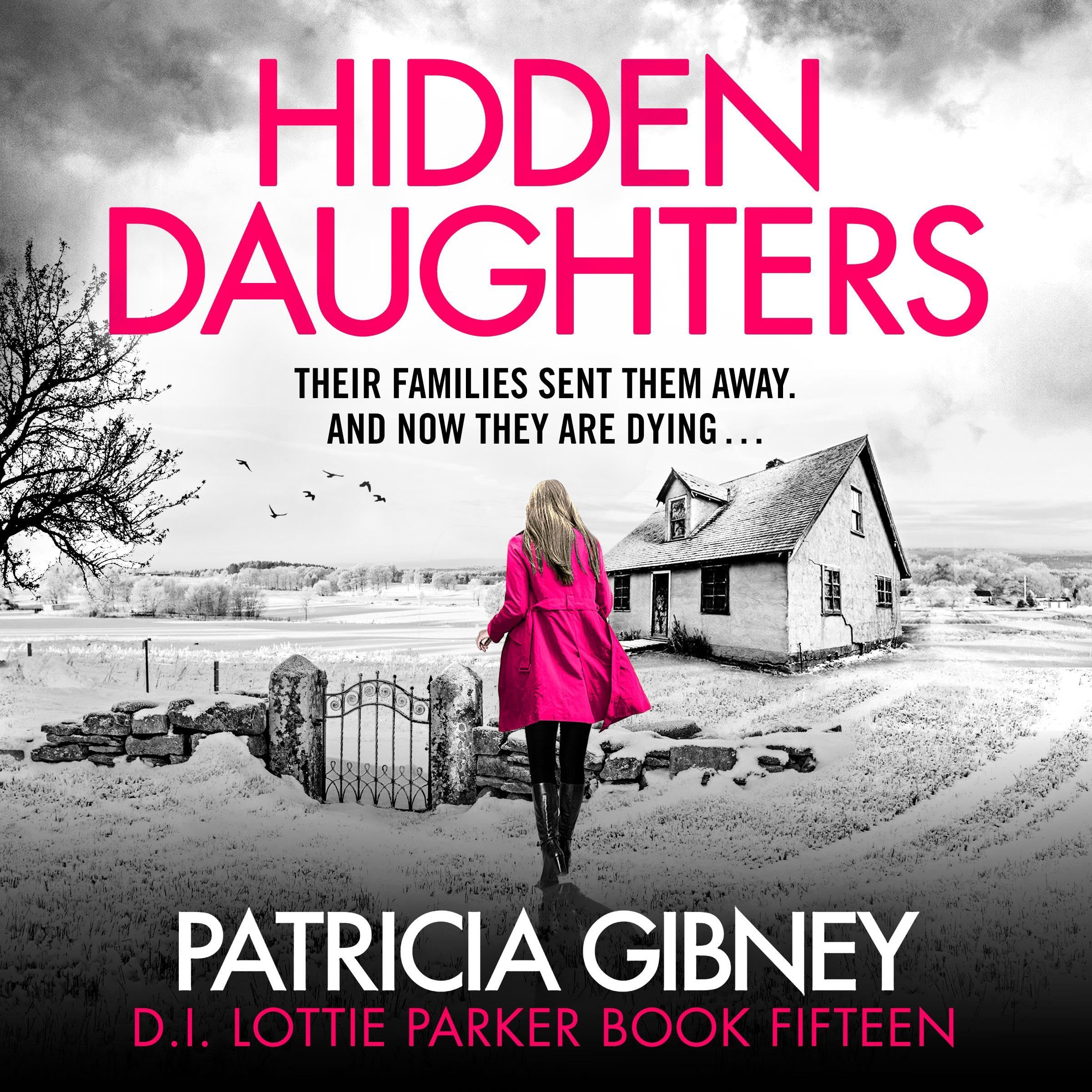 Hidden Daughters book cover